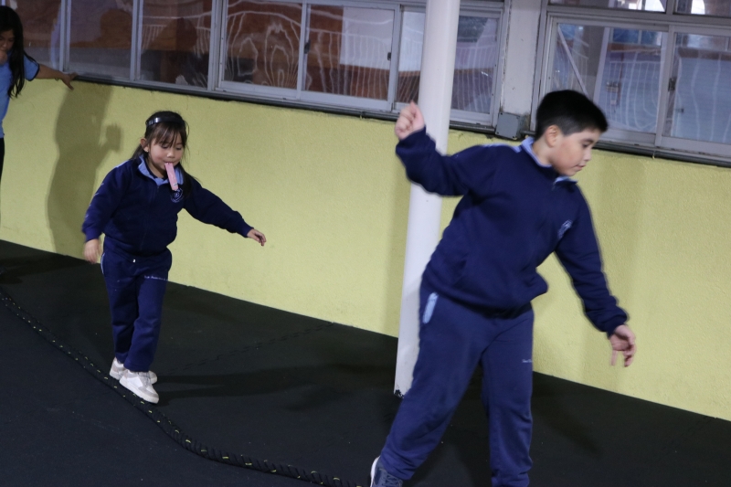 Día de la Actividad Física